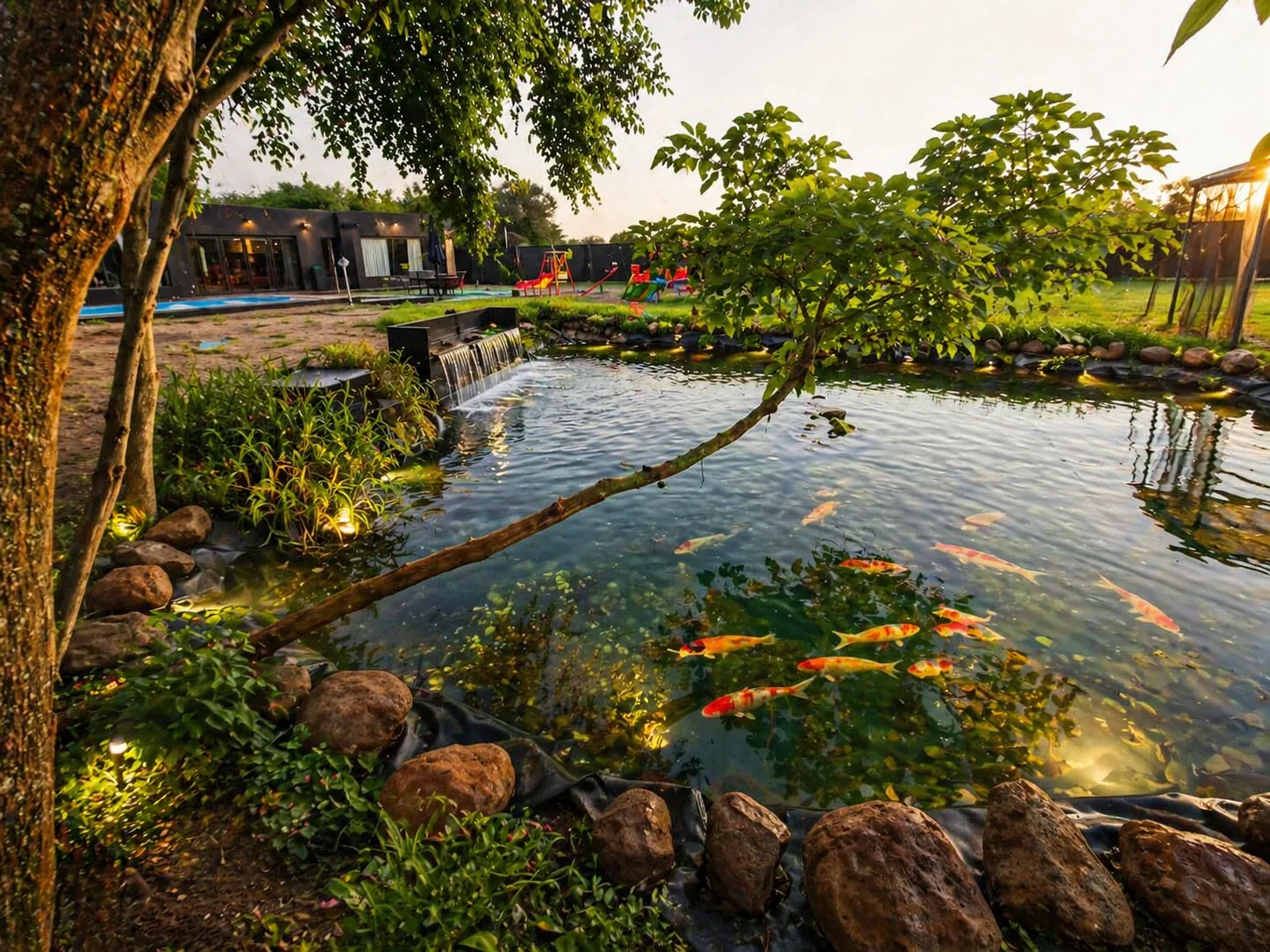 Laguna ornamental con peces koi